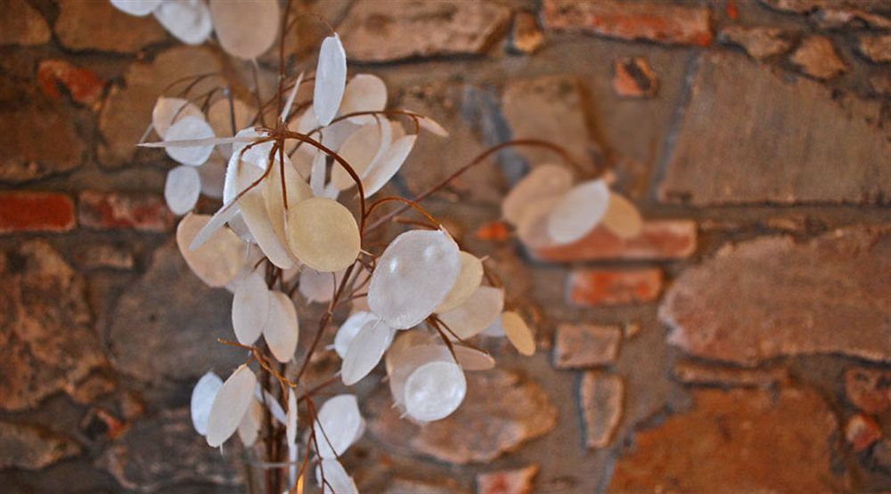 Posada Plaza Mayor Colonia del Sacramento Zewnętrze zdjęcie